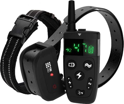 electric box collar|best electric dog collars reviews.